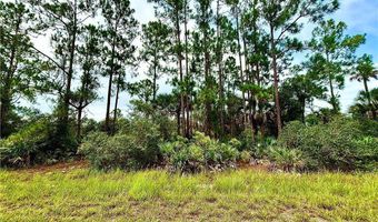 4203 E 27th St, Alva, FL 33920
