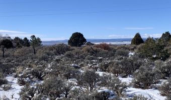 Mariposa, Arroyo Seco, NM 87514