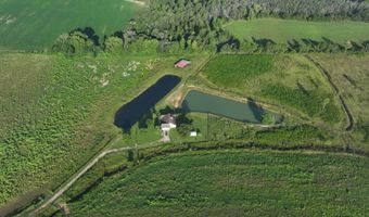 County Rd 33, Ashford, AL 36312