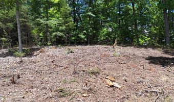 Lot 42 Bayside Boulevard, Bean Station, TN 37708