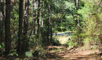 3170 Co Rd 53, Abbeville, AL 36319