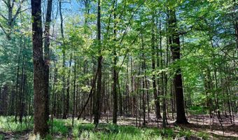 54 Cliff Rd, Accord, NY 12404