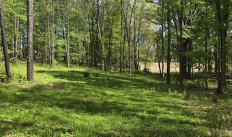 15252 27 Mile Rd, Albion, MI 49224