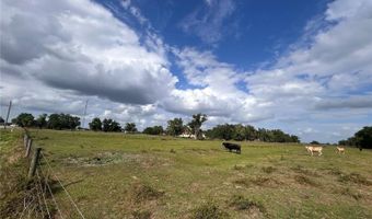 WASHINGTON STREET, Arcadia, FL 34266