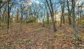 8667 W Hardwood Rd, Atoka, OK 74525