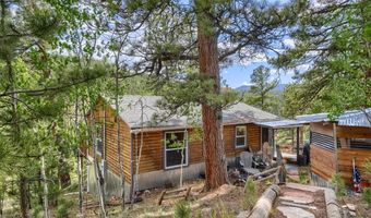 226 Hall Rd, Bailey, CO 80421