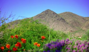 35345 N Canyon Creek Ct, Carefree, AZ 85377