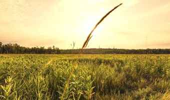 ON SURING LN unit 8.09 Acres 8.09 Acres, Argonne, WI 54511