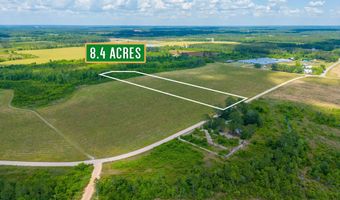 Tract 11 Sellers, Baxley, GA 31513