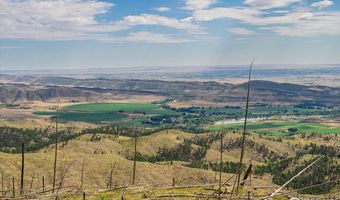 0 Pine Acres, Bellvue, CO 80512