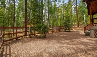 2 County Road 2069, Alpine, AZ 85920