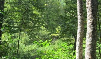 43 Sanctuary Ln, Alderson, WV 24910