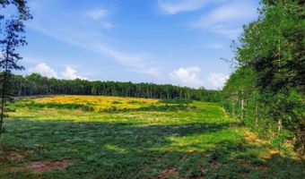 Old Grist Mill Road, Appomattox, VA 24522