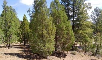 2805 N Dead Horse Lp, Alton, UT 84710
