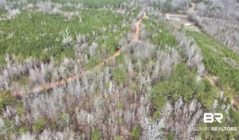 21000 Block Highway 21, Beatrice, AL 36425