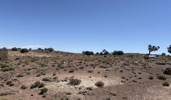 156 N9046, Concho, AZ 85924