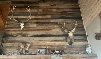 699 Stephens Rd, Challis, ID 83226