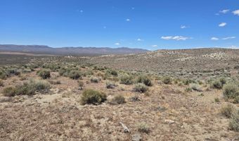 101 Ryndon, Elko, NV 89801