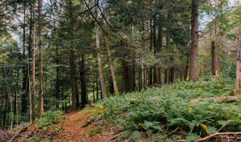 0 Weidick Rd, Andes, NY 13731