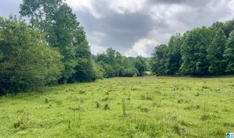 988 MINES Rd 100, Ashland, AL 36251
