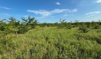 Tract 2 Highway 70 Acres, Bennington, OK 74723