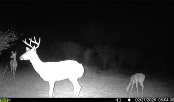 CR 119 lot 0, Alice, TX 78332