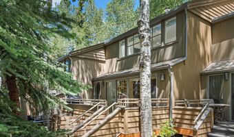 100 N Eighth St 3, Aspen, CO 81611