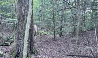 Upper Cherrytown Road, Accord, NY 12404