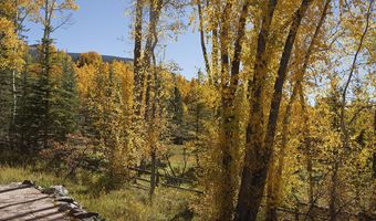 1036 Red Mountain Rd, Aspen, CO 81611