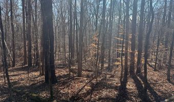 Cr 127, Abbeville, MS 38601