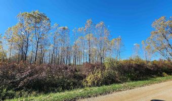 00 Farley, Almont, MI 48003