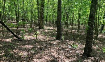 0 County Road 224, Alton, MO 65606