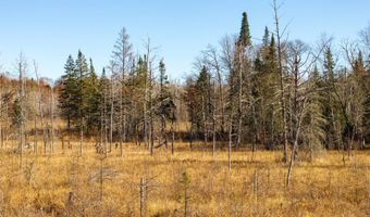 3851 Division St W, Backus, MN 56435