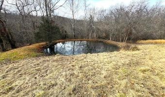 178 Acres Bug Scuffle Ln, Anderson, MO 64831