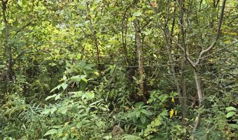 124-125 Prospect St 1230-VL00.0005  1230-VL0004, Barre, VT 05641