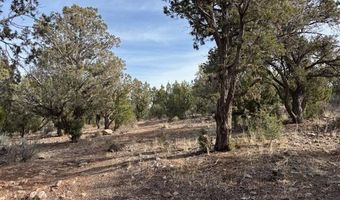277 N Pinion Cir, Central, UT 84722
