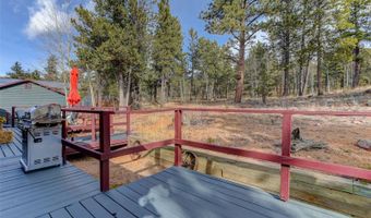 50 Road P78, Bailey, CO 80421