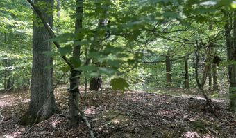 Sunny Court, Baneberry, TN 37890
