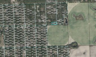 TBD 62nd Pl, Bell, FL 32619
