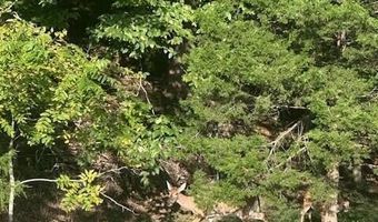 375 Middle Creek Rd, Afton, TN 37616