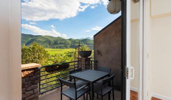 506 Wild Spring Ln, Basalt, CO 81621