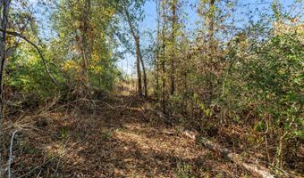 Parcel 1 Brent Knight Rd, Collins, MS 39479