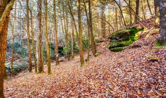 54 E Ridge Rd, Allardt, TN 38504