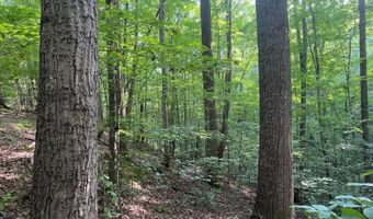 0 Willow Grove Hwy, Allons, TN 38541