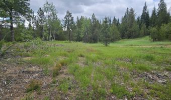 23 Sawtooth Loop, Cascade, ID 83611