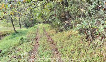 Jesse Run Rd, Arnoldsburg, WV 25234