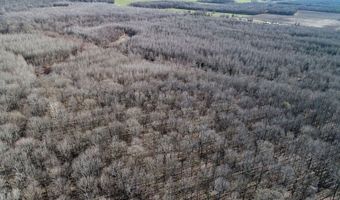 6075 Curtis Rd, Batesville, MS 38606