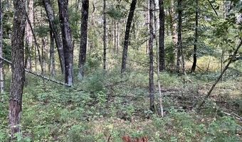Parcel 18th Avenue, Arkdale, WI 54613