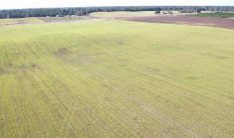 72 Nw Pl, Bell, FL 32619