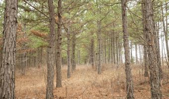 000 County Road U-105A, Ava, MO 65608